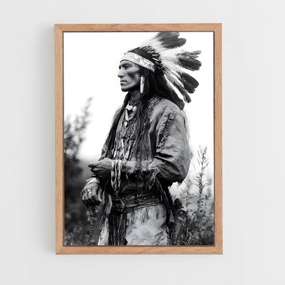 ap-native americans-2 cadre Bois clair