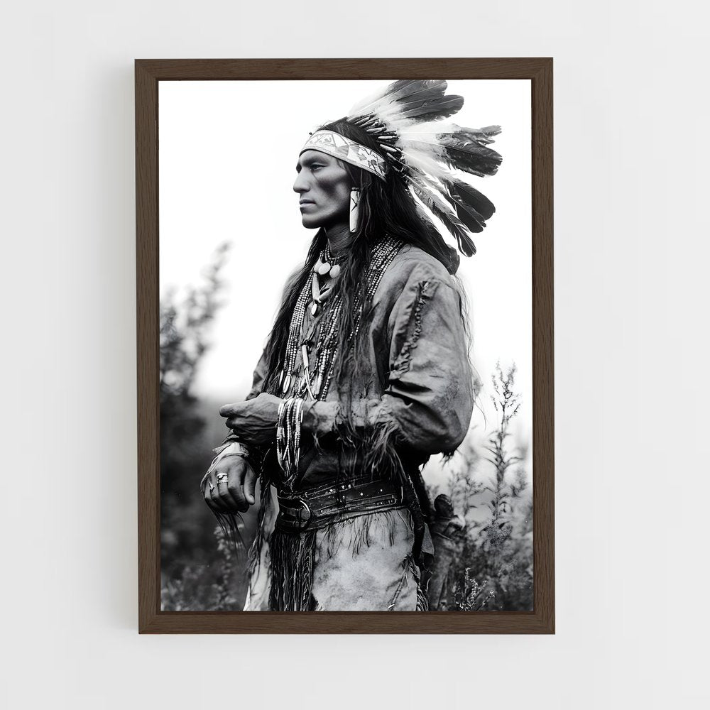 ap-native americans-2 cadre Bois foncé