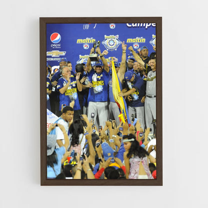 ap-navegantes del magallanes-2 cadre Bois foncé