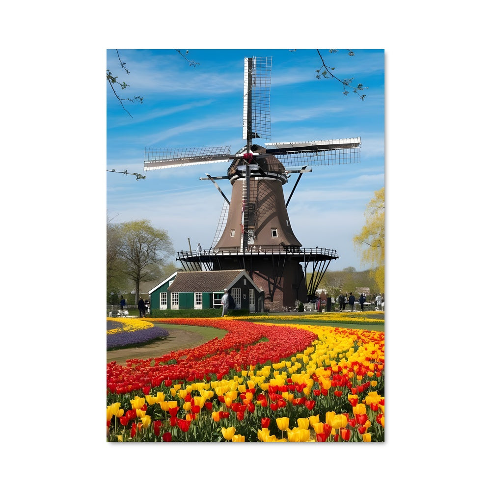 Poster Moulins et Tulipes