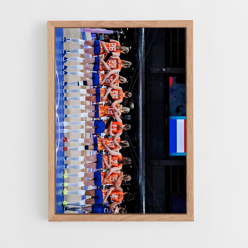 ap-netherlands national volleyball team-1 cadre Bois clair