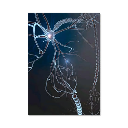 Poster Neurones Électriques