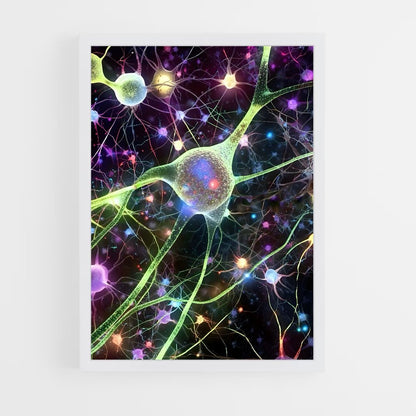 ap-neurons-6 cadre Blanc