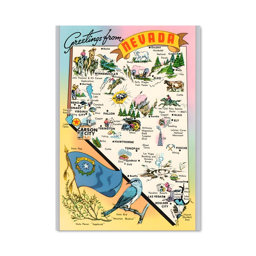 Poster South Carolina Dream