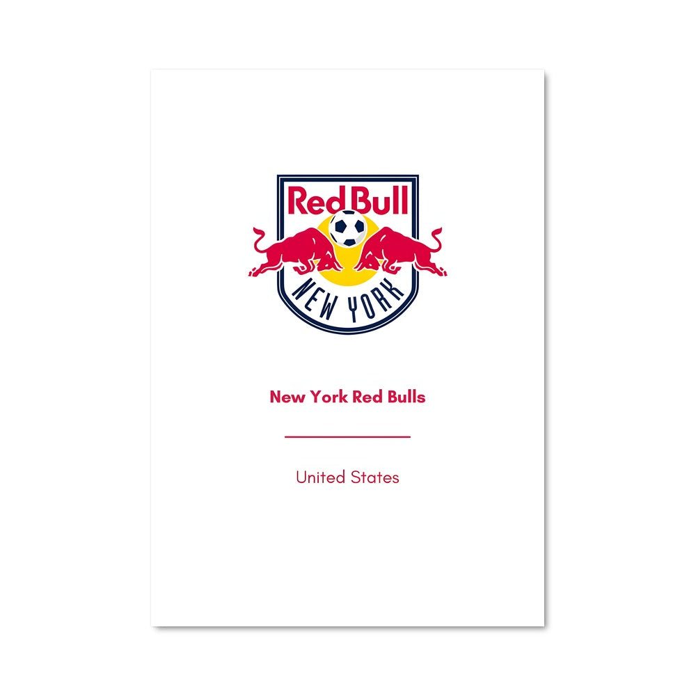 Poster New york red bulls 72092