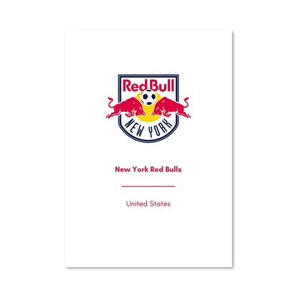 Poster New york red bulls 72092