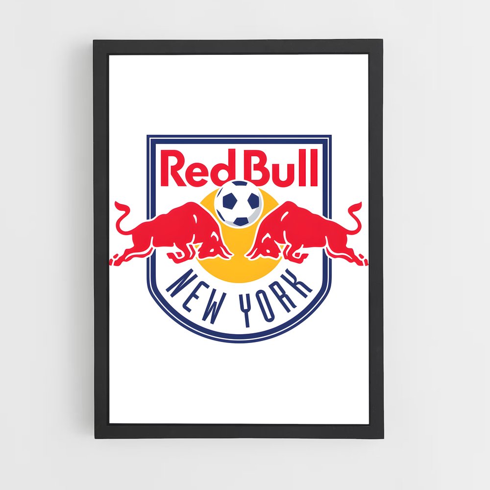 ap-new york red bulls-2 cadre Noir