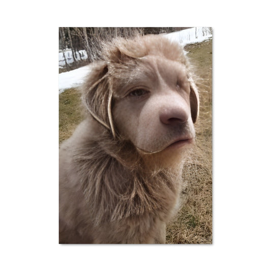 Poster Compagnon de Prairie