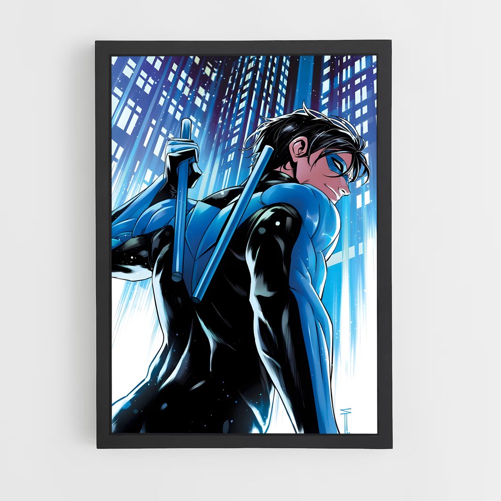 ap-nightwing-2 cadre Noir