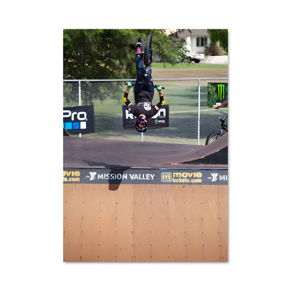 Poster Trickster en Skate