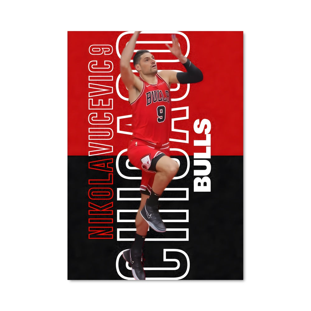 Poster Nikola vucevic 60080