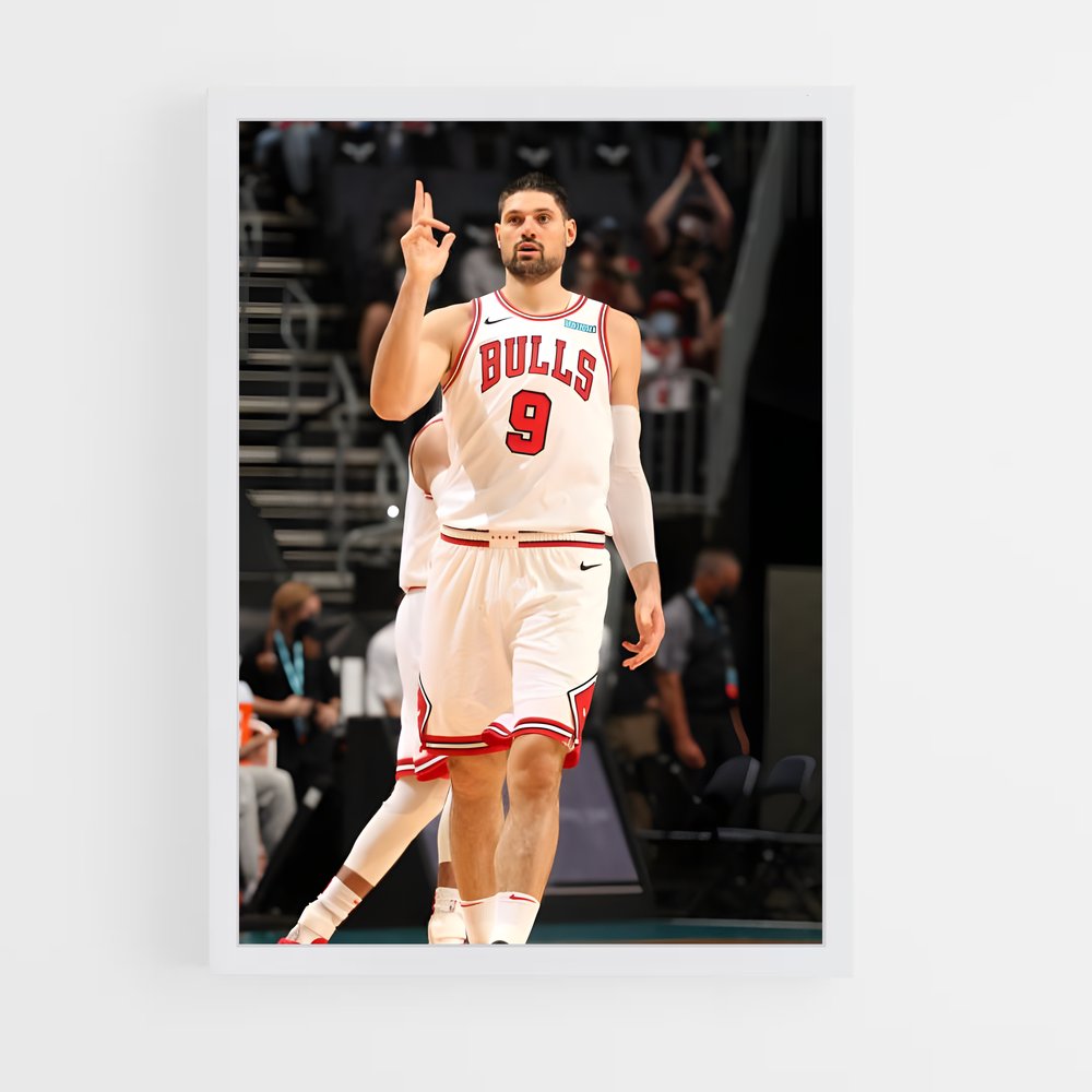 ap-nikola vucevic-1 cadre Blanc