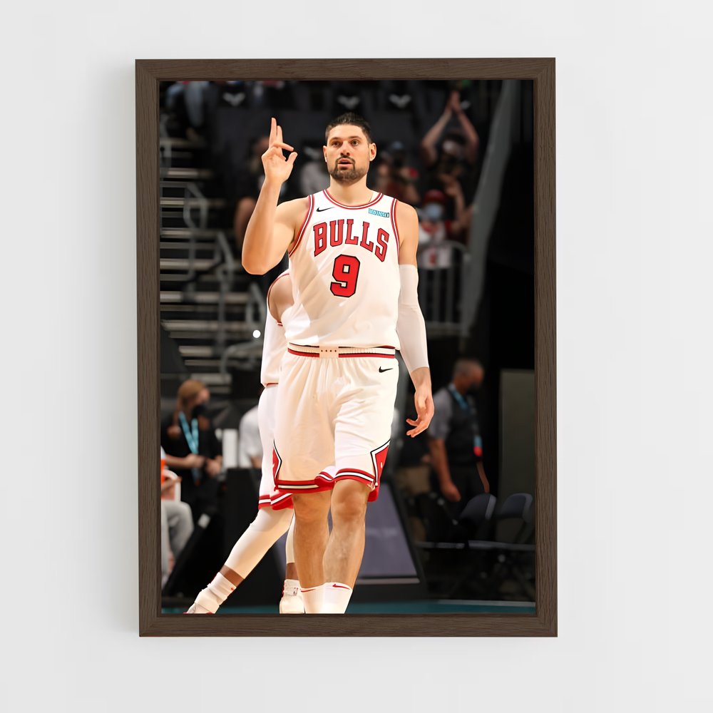 ap-nikola vucevic-1 cadre Bois foncé