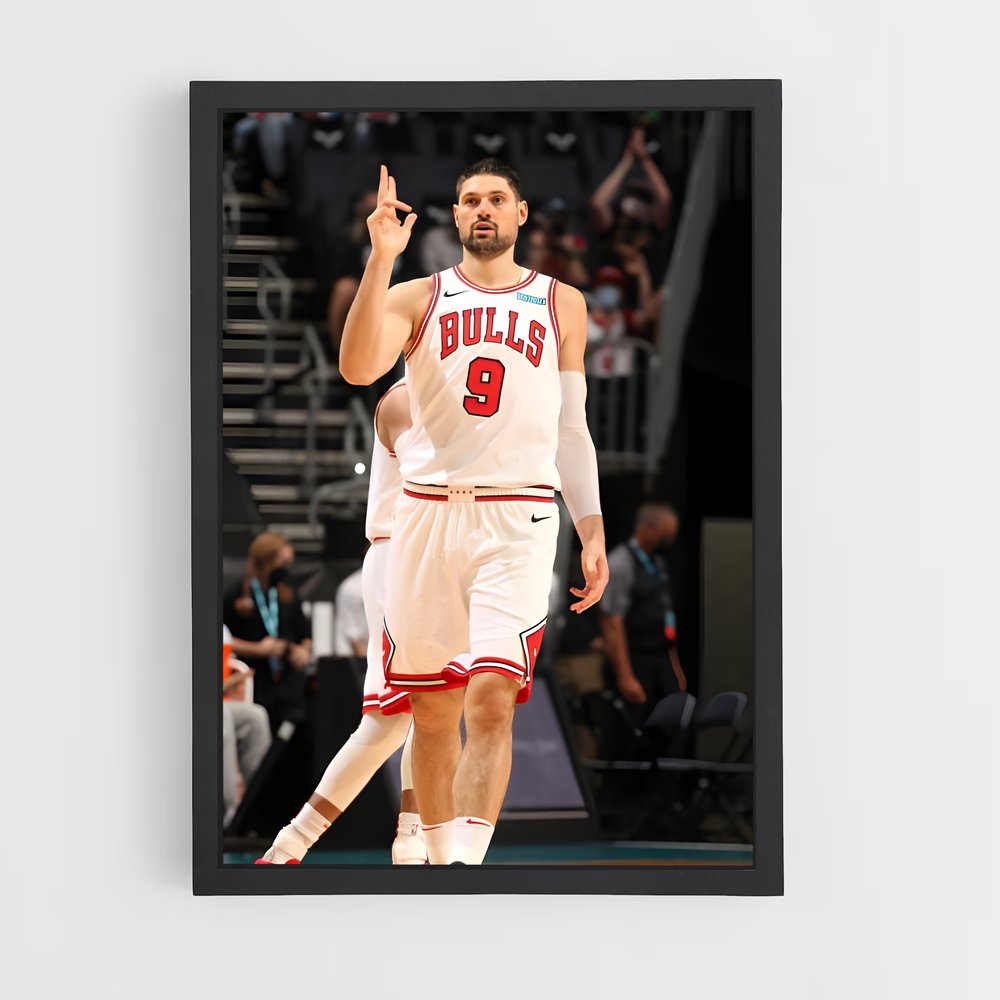 ap-nikola vucevic-1 cadre Noir