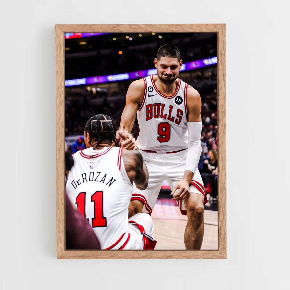 ap-nikola vucevic-3 cadre Bois clair