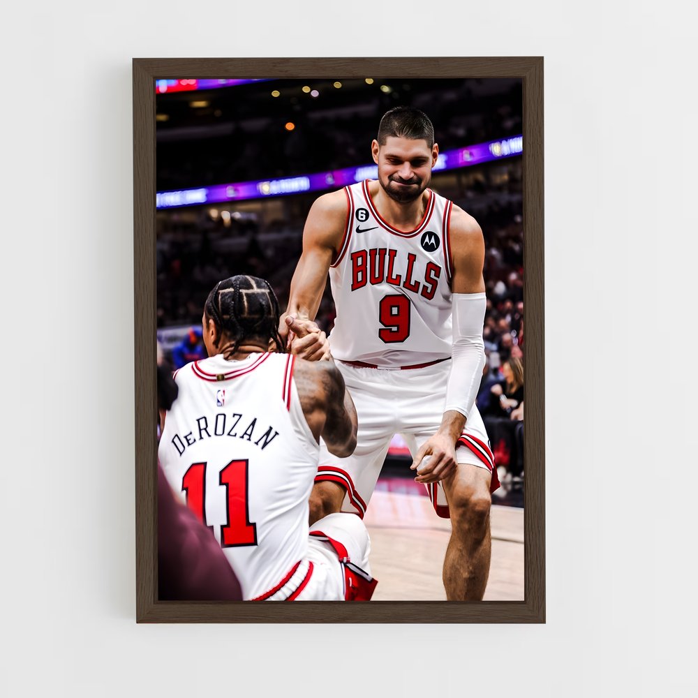 ap-nikola vucevic-3 cadre Bois foncé
