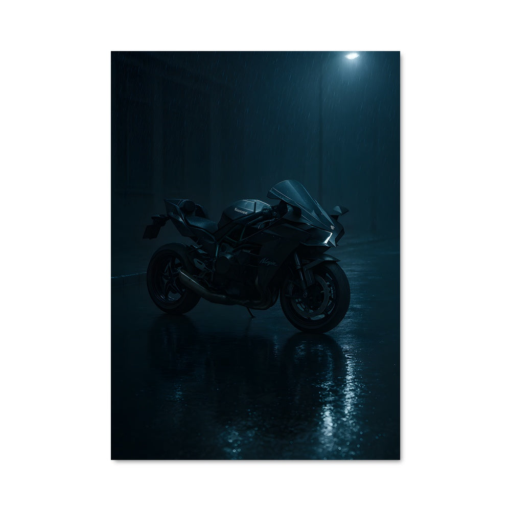 Poster Ninja h2r 82410