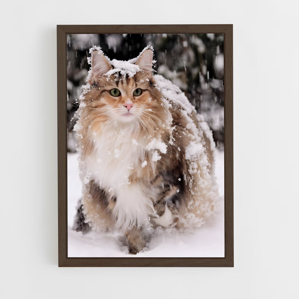 ap-norwegian forest cat-1 cadre Bois foncé