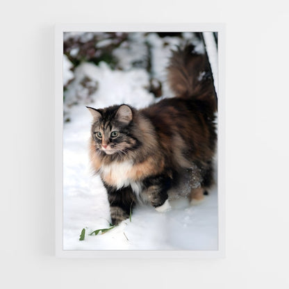 ap-norwegian forest cat-2 cadre Blanc