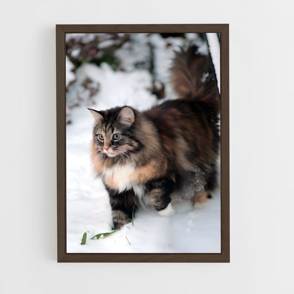 ap-norwegian forest cat-2 cadre Bois foncé