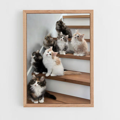 ap-norwegian forest cat-3 cadre Bois clair
