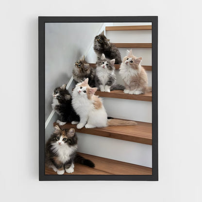 ap-norwegian forest cat-3 cadre Noir