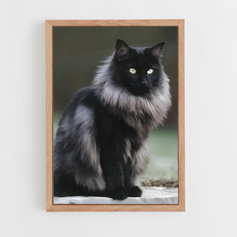 ap-norwegian forest cat-5 cadre Bois clair