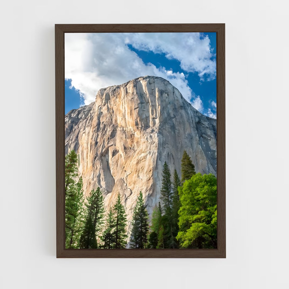 ap-nose route el capitan-1 cadre Bois foncé