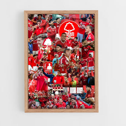 ap-nottingham forest fc-2 cadre Bois clair