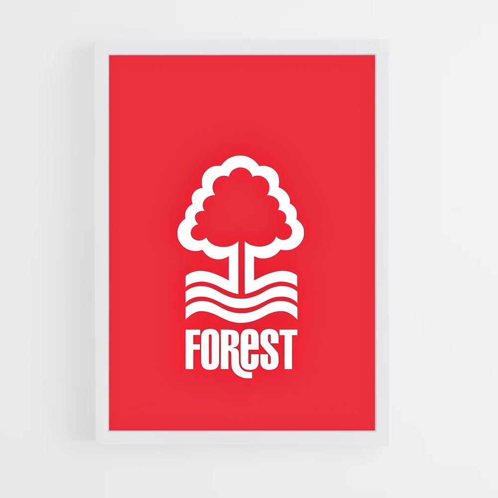 ap-nottingham forest fc-6 cadre Blanc