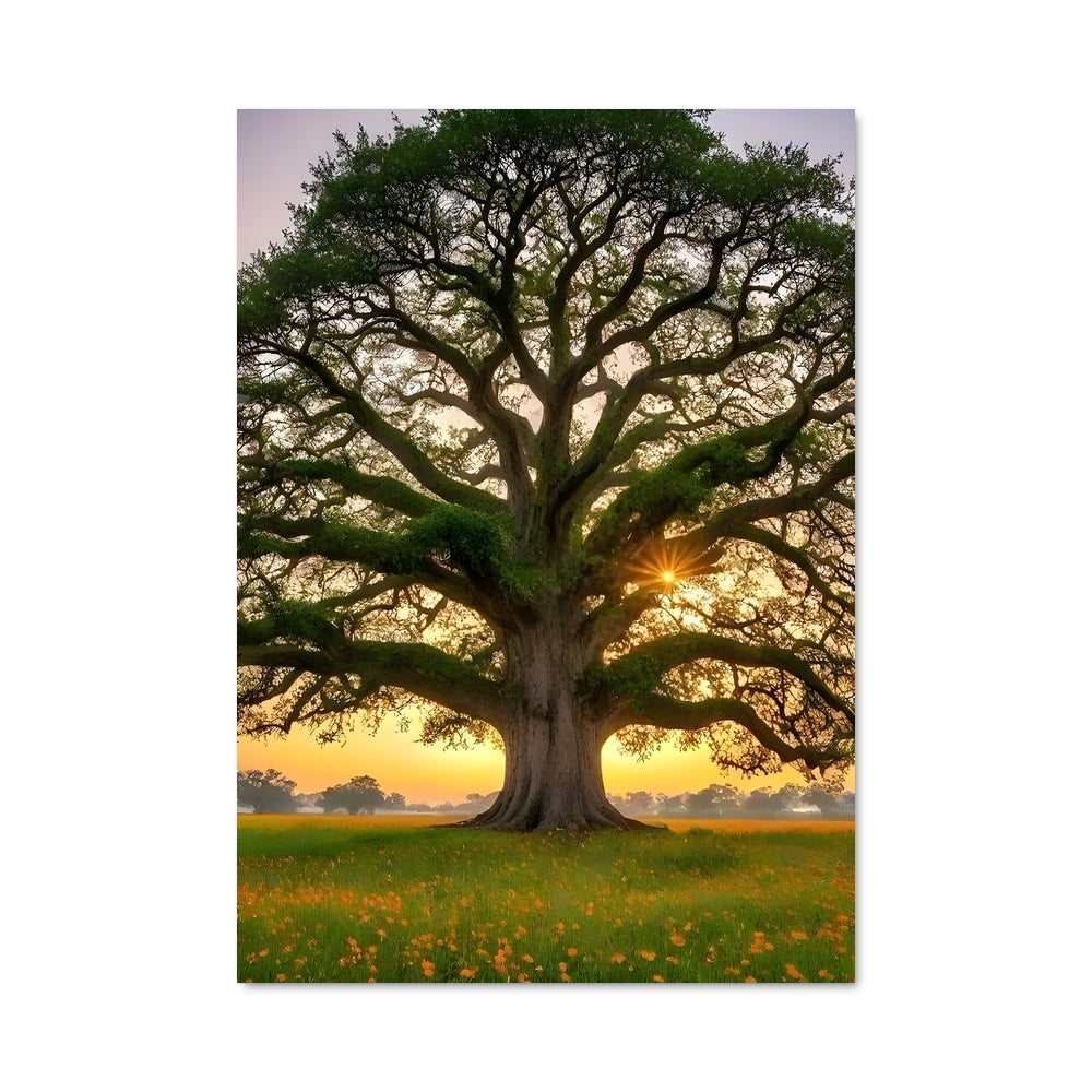 Poster Lumière de Chêne