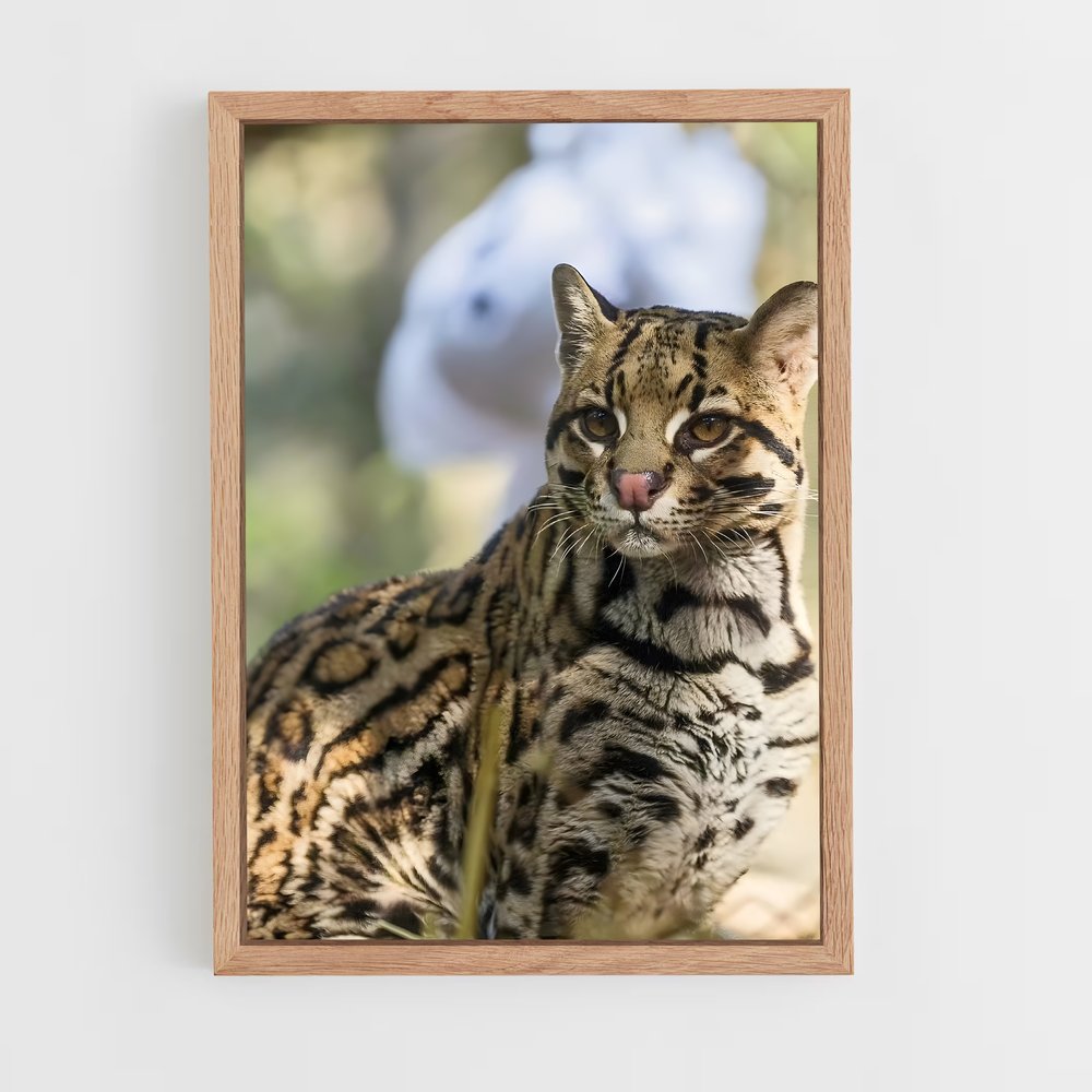 ap-ocelot-5 cadre Bois clair