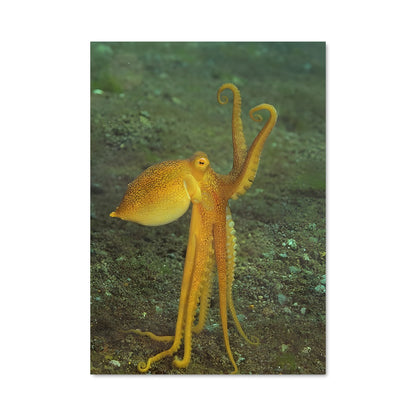 Poster Kraken Jaune