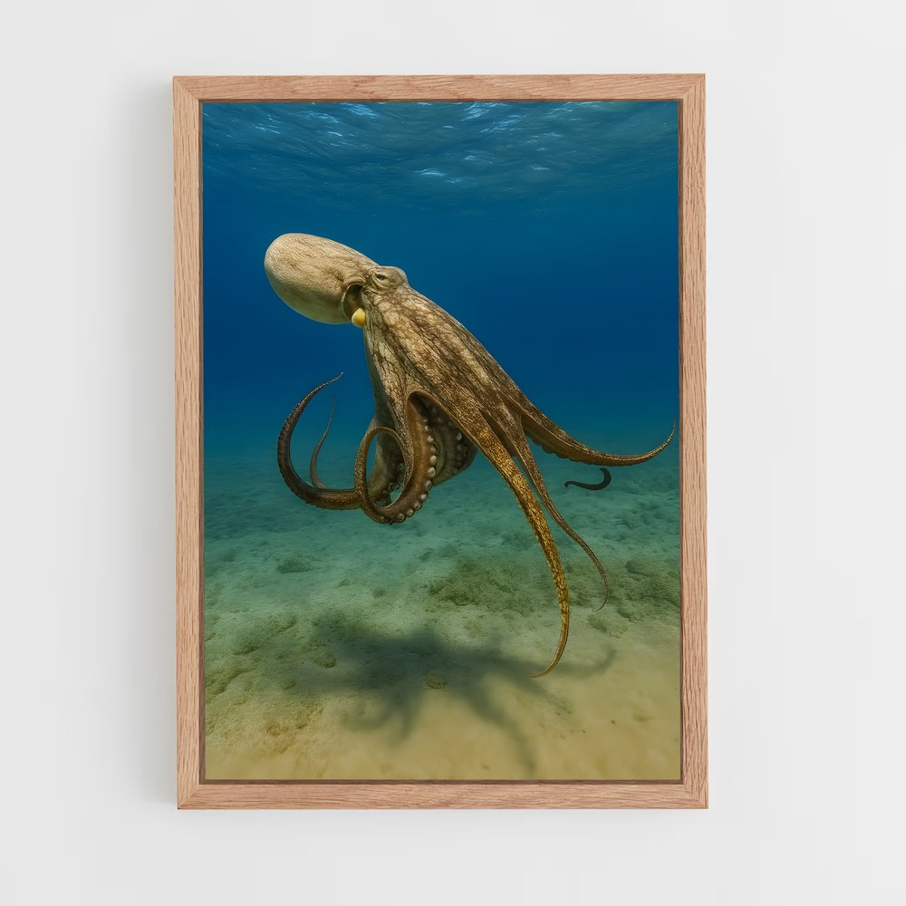 ap-octopus-9 cadre Bois clair
