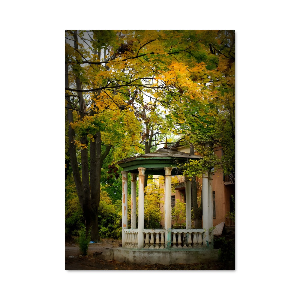 Poster Regard d'Automne