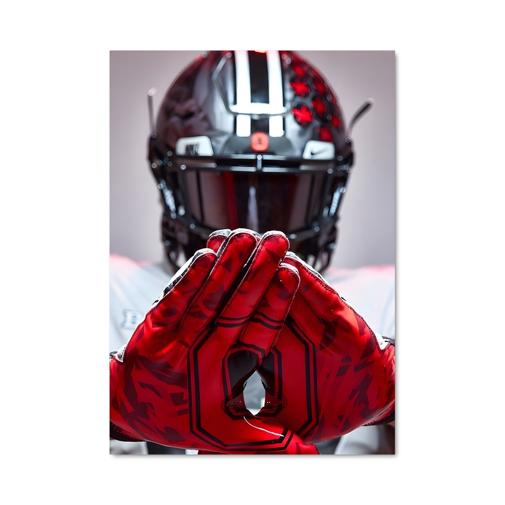 Poster Buckeye Warrior