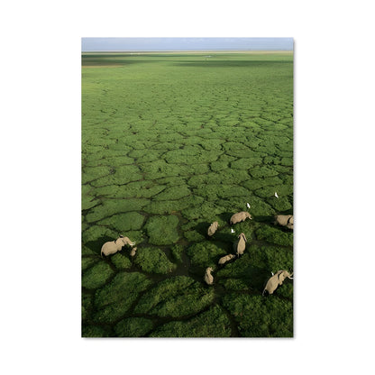 Poster Serengeti Sauvage