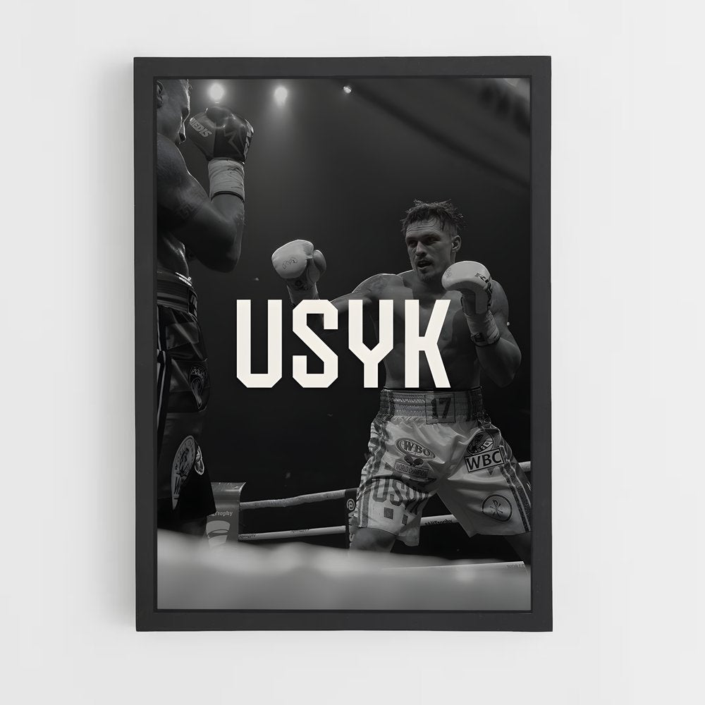 ap-oleksandr usyk-4 cadre Noir
