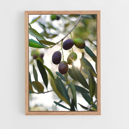 ap-olive oil-9 cadre Bois clair