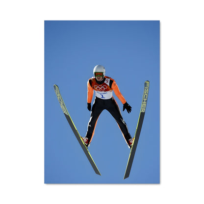 Poster Vol Alpins