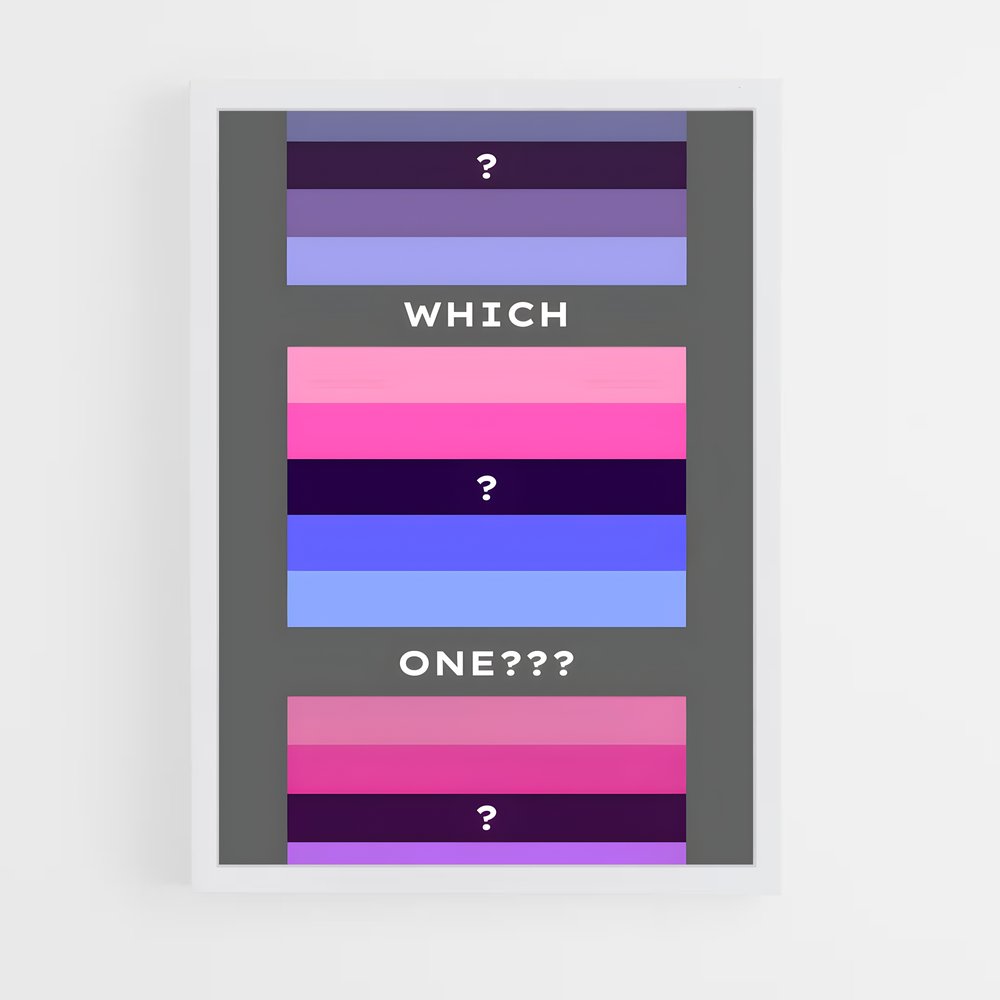 ap-omnisexual flag-2 cadre Blanc