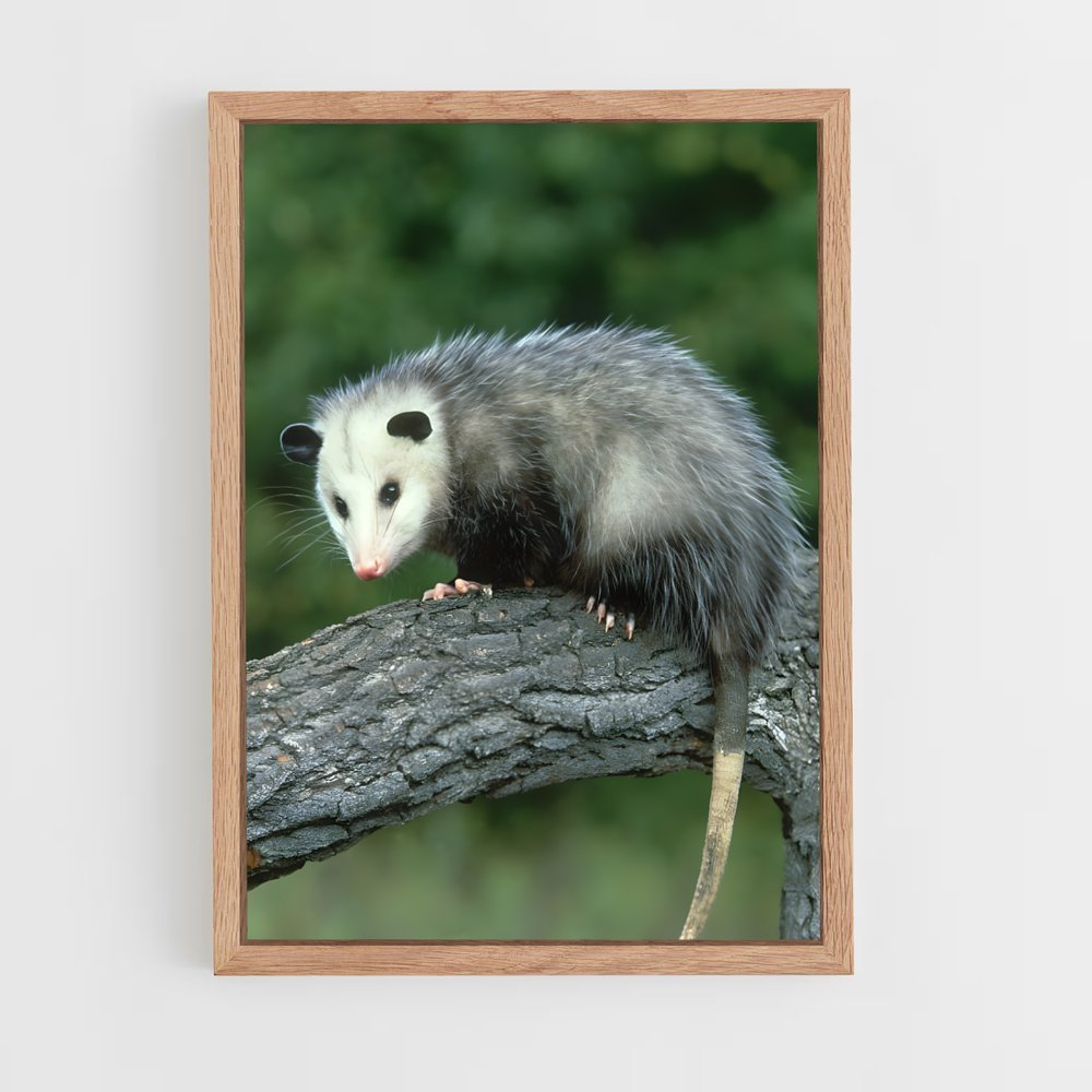 ap-opossum-1 cadre Bois clair