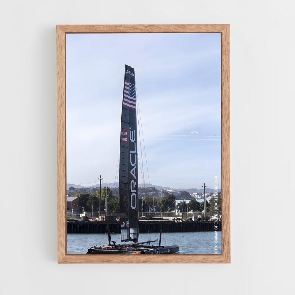 ap-oracle team usa-4 cadre Bois clair