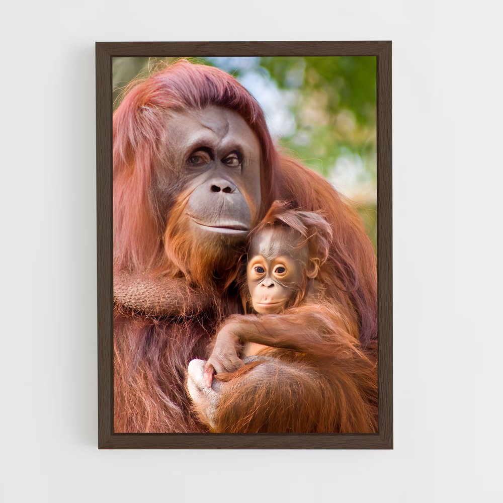 ap-orangutan-3 cadre Bois foncé