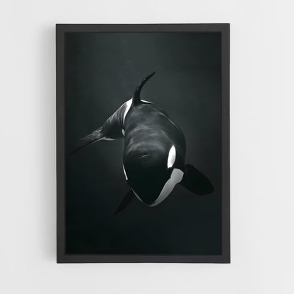 ap-orca-1 cadre Noir