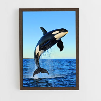 ap-orca-2 cadre Bois foncé