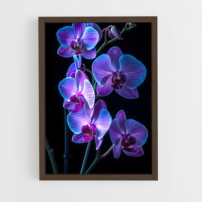 ap-orchid-4 cadre Bois foncé
