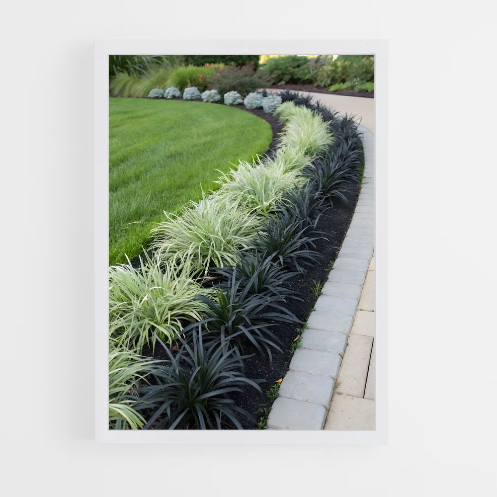 ap-ornamental grass-1 cadre Blanc