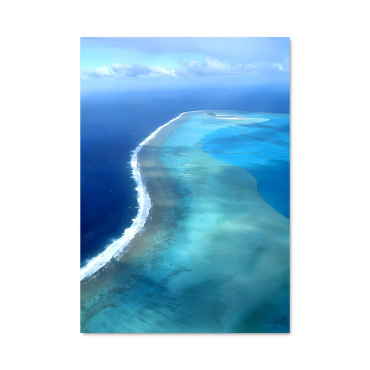 Poster Récif Éternel