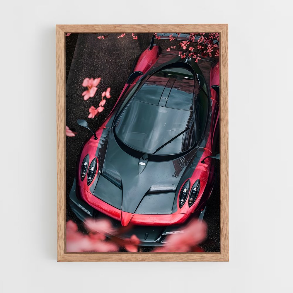 ap-pagani-9 cadre Bois clair